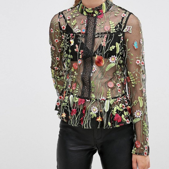 ASOS premium embroidered mesh blouse - Picture 1 of 16